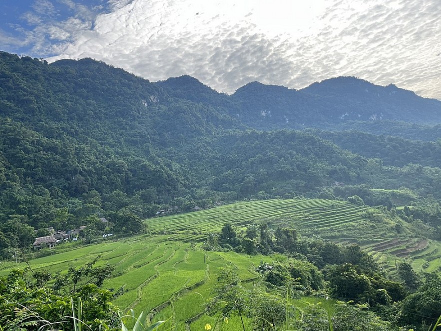 Beautiful scenery on the way to Pu Luong, the mountains are full of green eyes. Photo: Tuoi Tre