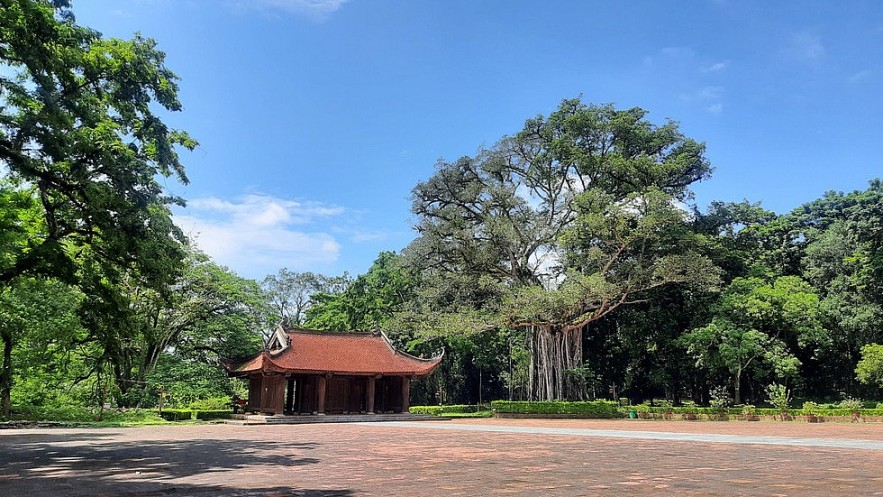 To the right of the dragon yard, there is a hundred-year-old banyan tree, tens of people hugging. Photo: Tuoi Tre