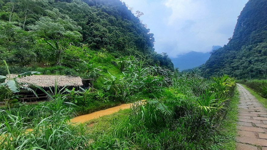 Kho Muong Cave (Bat Cave) is located in Pu Luong Nature Reserve (Thanh Hoa) - a destination not to be missed when coming here, evoking the feeling of a peaceful, majestic and mysterious land waiting for you. you discover. Photo: Tuoi Tre