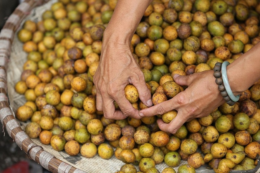 Hanoi Delicacies in Autumn