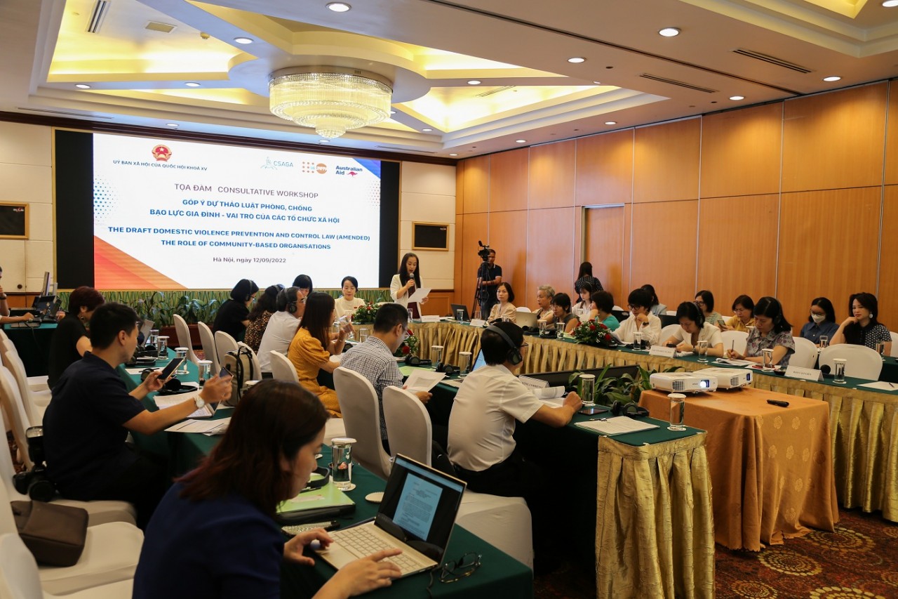 Experts Contribute to Draft Revised Law on Domestic Violence Control