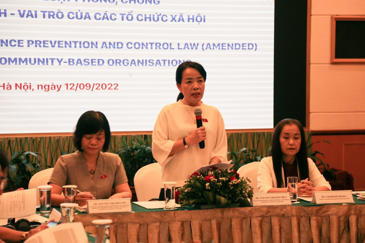 Experts Contribute to Draft Revised Law on Domestic Violence Control