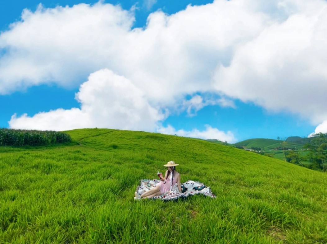 Stunning Grassland In Son La Resembles Windows Screensaver