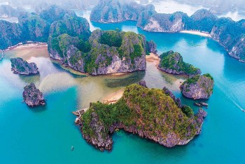 International Cooperation Should be Enhanced to Benefit Vietnam's Sea and Island Policy