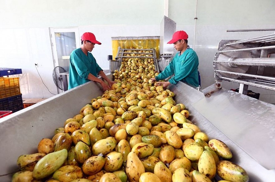 Vietnam Business & Weather Briefing (Sep 14): Vietnam Strives to Exploit Fruit Export Potential