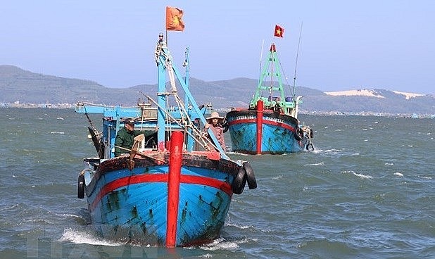 Vietnamese fishing vessels. Photo: VNA