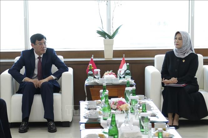 vietnam indonesia discuss audit experience exchange