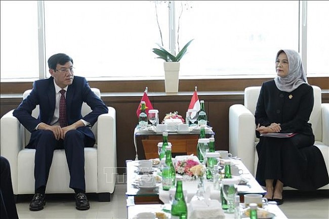 Vietnam, Indonesia Discuss Audit Experience Exchange