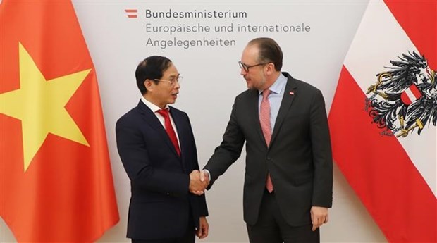 Foreign Minister Bui Thanh Son (left) meets his Austrian counterpart  Alexander Schallenberg. Photo: VNA