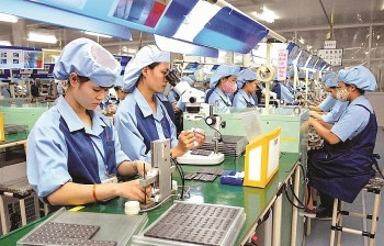 Vietnamese Businesses Grasp Opportunity to Join Global Supply Chain