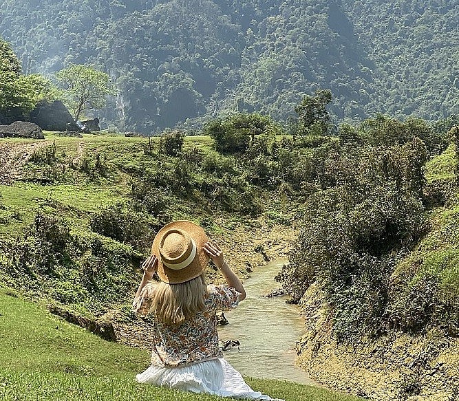 Top 3 Gorgeous Grasslands in Vietnam