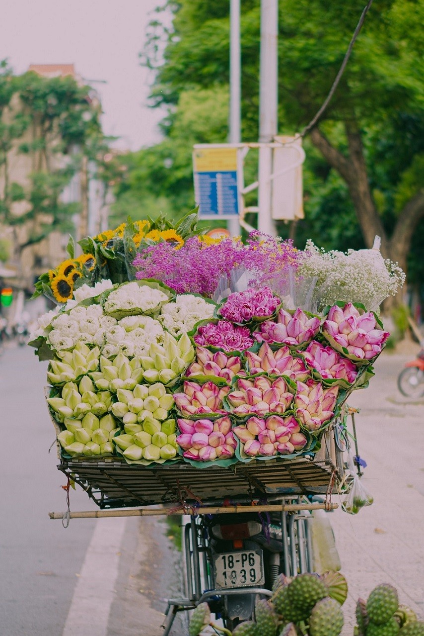 Canadian Travel Magazine: Ho Chi Minh City - The Most Beautiful City in Vietnam