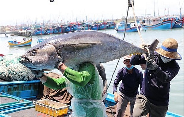Vietnam Coast Guard Puts More Efforts Into Fighting Illegal Fishing