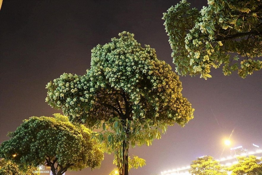 First Sign of Autumn on the Streets of Hanoi