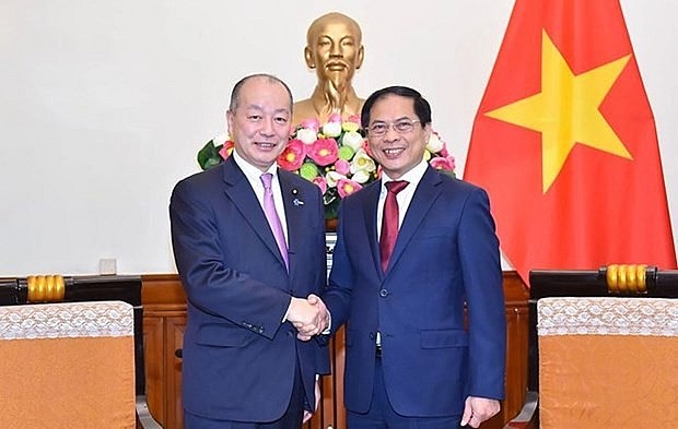 Vietnamese Minister of Foreign Affairs Bui Thanh Son (R) and Parliamentary Vice Minister of Foreign Affairs of Japan Takagi Kei. Photo: VNA