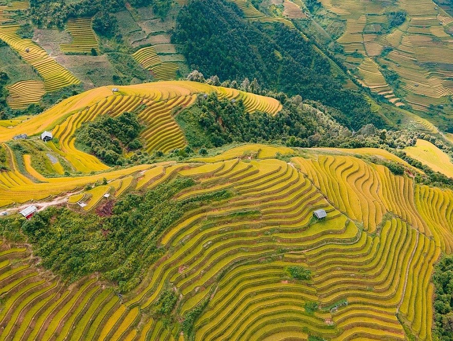 The Beauty of Mu Cang Chai from Above