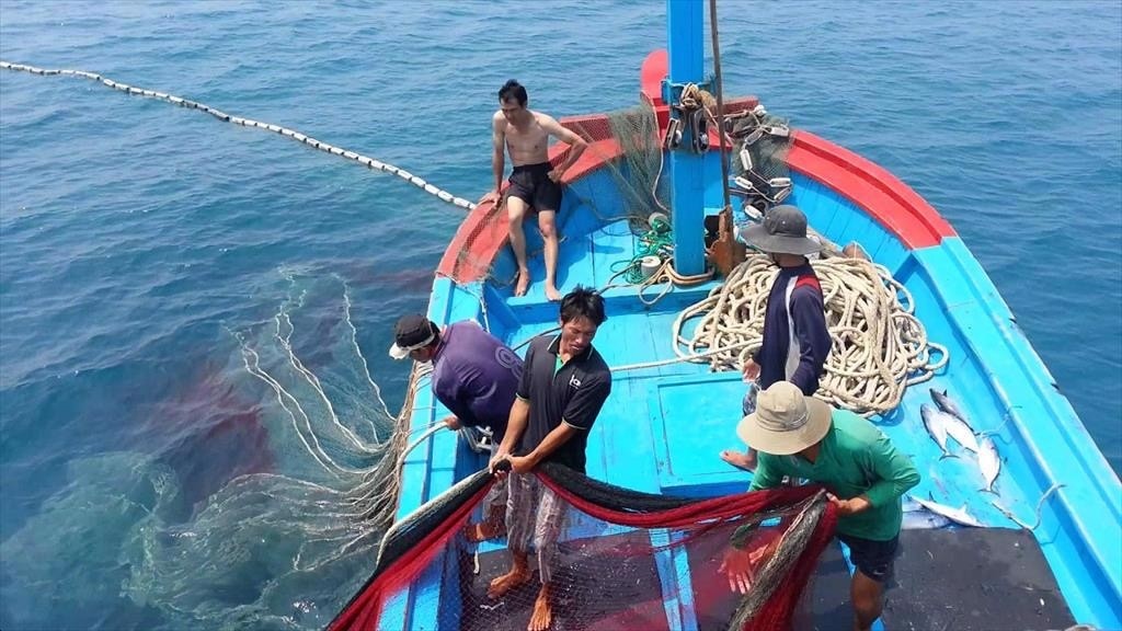 EC Lauds Vietnam’s Drastic Actions in Fighting IUU Fishing