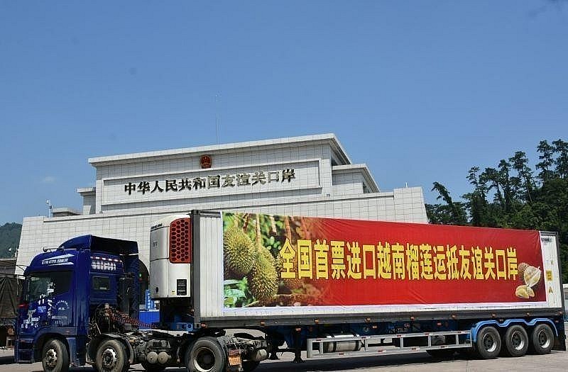 The first shipment of Vietnamese durians exported to China through Huu Nghi Quan border gate, Guangxi. Photo: Guangxi Daily