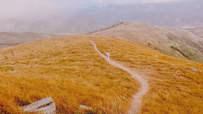 The Poetic Beauty of Binh Huong Hill, Quang Ninh