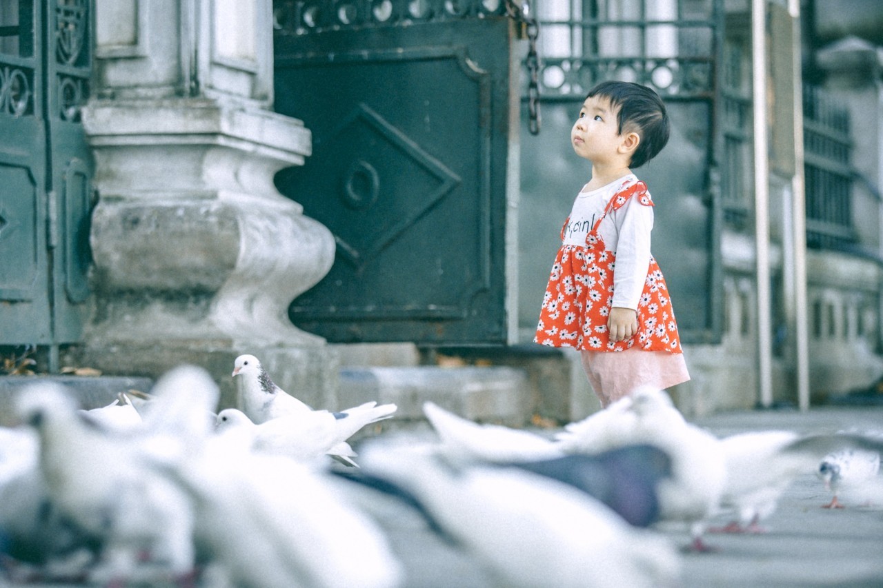 Peaceful Moments Throughout Tranquil Hanoi