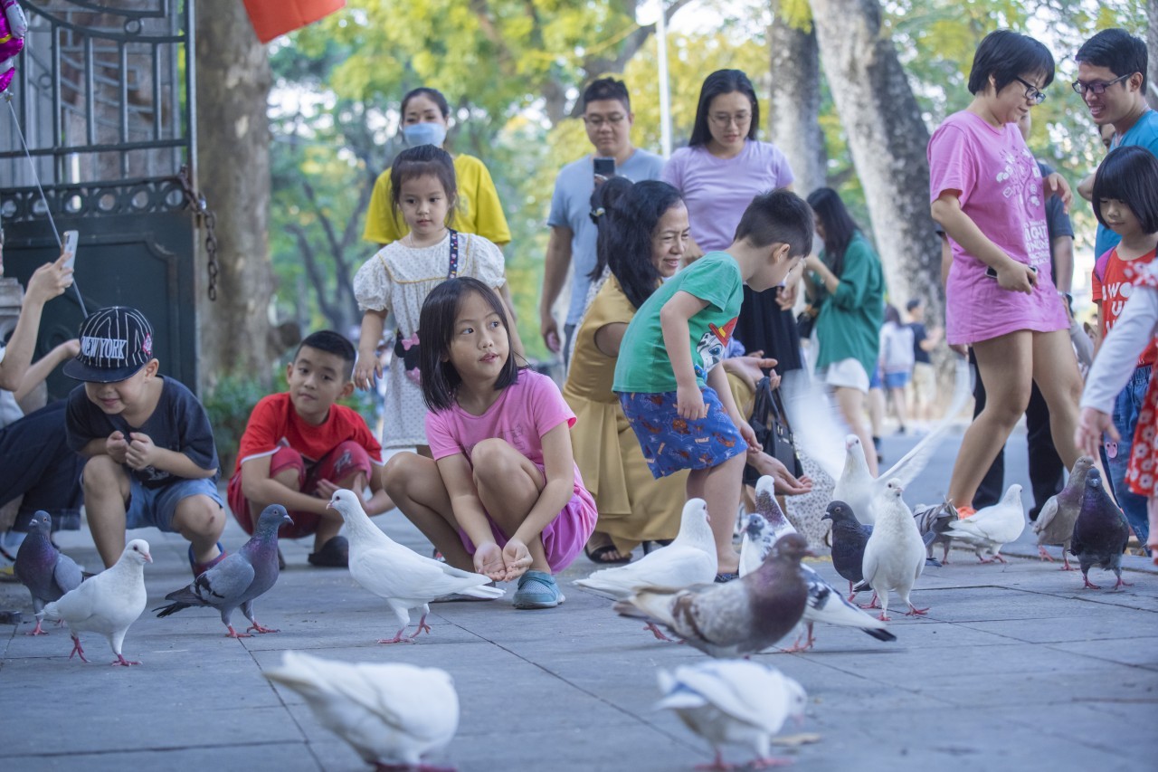 Peaceful Moments Throughout Tranquil Hanoi