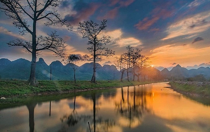 The Beauty of Purple Water Lilies in Yen Stream