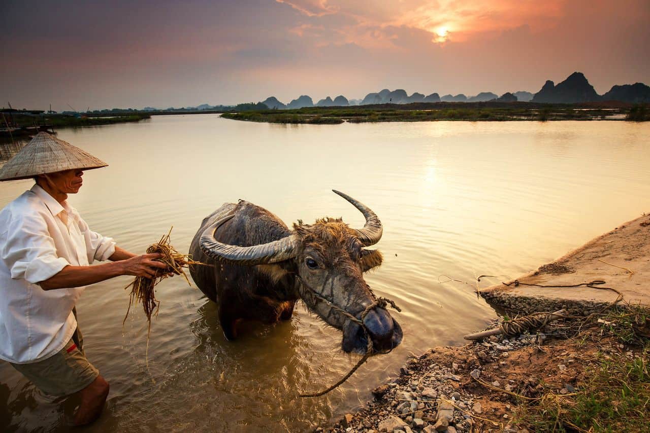 Photo: Vietnam Discovery 