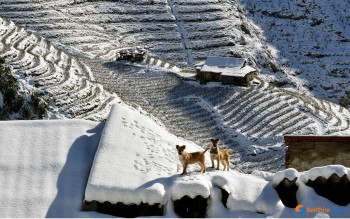 The Travel: Sapa Voted As Top 10 Snowy Destinations To Visit This Winter In Asia