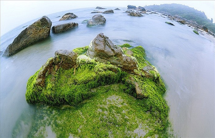 Nam O Reef - A Wonderful Check-in Point in Da Nang