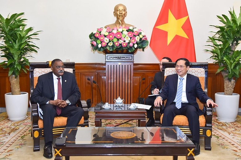 Foreign Minister Bui Thanh Son talks with Secretary of State of the Angolan Ministry of Foreign Affairs Domingos Vieira Lopes (Photo: Manh Hung)