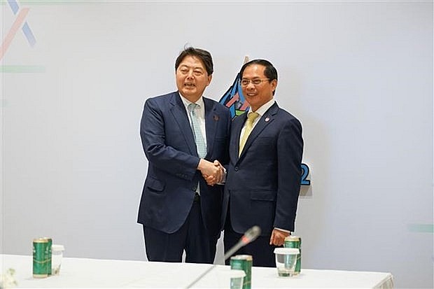 Foreign Minister Bui Thanh Son (R) meets his Japanese counteprart Hayashi Yoshimasa in Bangkok on November 17 (Photo: VNA)