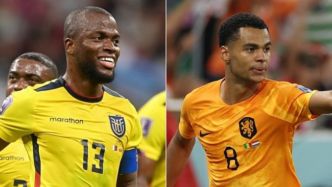Netherlands vs Ecuador World Cup 2022: Date & Time, Preview, Team News, Prediction