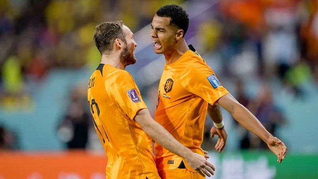 Netherlands vs Qatar World Cup 2022: Date & Time, Match Preview, Prediction, Team News