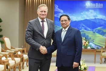 Denmark Ready to Help Vietnam Become Supplier for Offshore Wind Power Sector