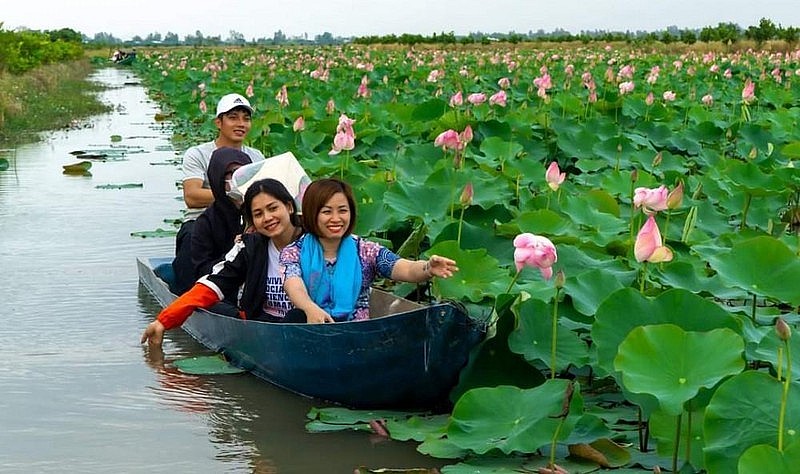 Dong Thap develops lotus-related tourism products. Photo: Nguyen Toan