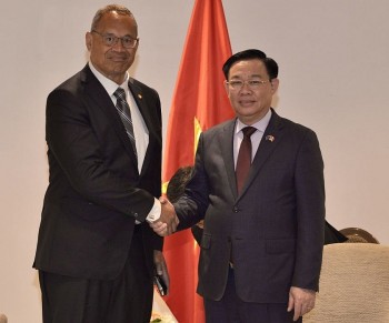 Vietnam-New Zealand Trade, Investment Cooperation An Important Pillar