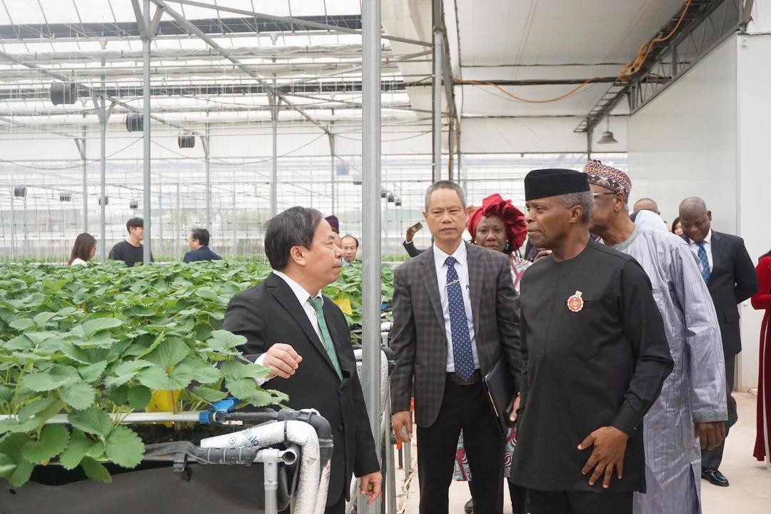The Vice President also raised concerns to develop a number of crops in the near future in Nigeria and wished that Nigeria and Vietnam would have more conditions for development cooperation not only in the agricultural field but also in some fields. other related fields.