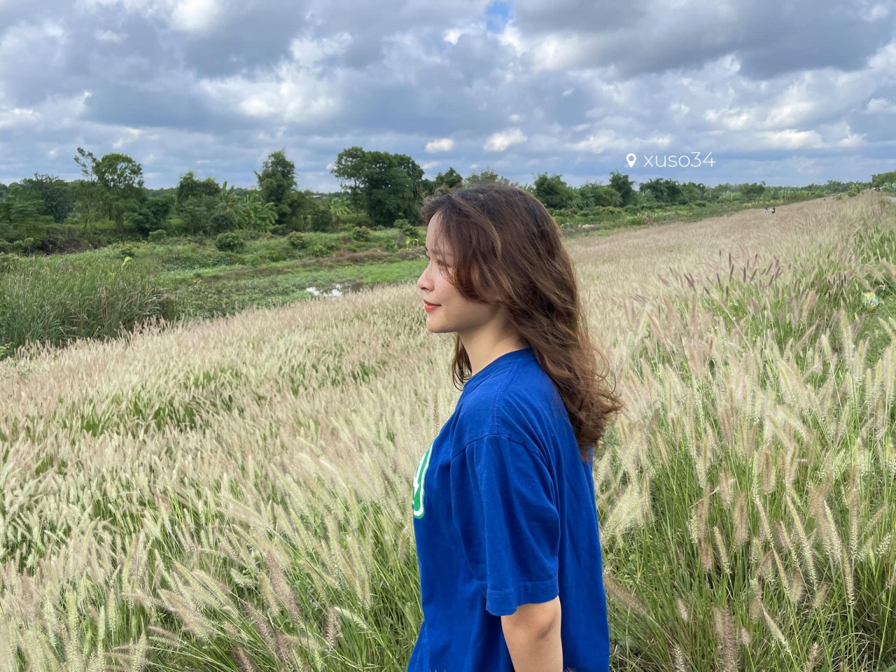 exploring the pink grasslands of hai duong