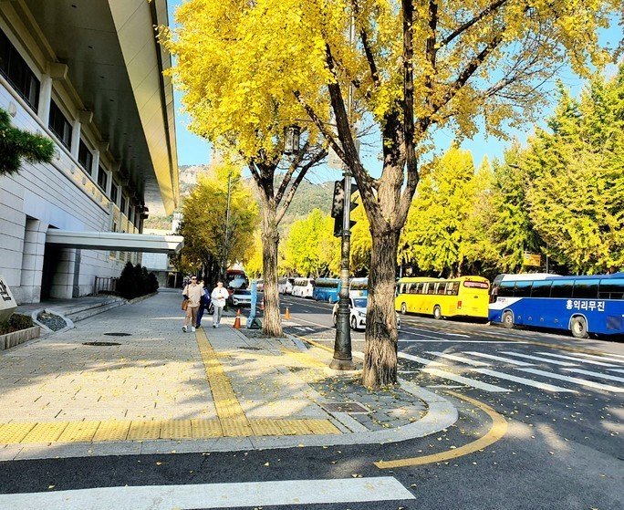 vietnameses favourite tours to japan rok during new year holiday
