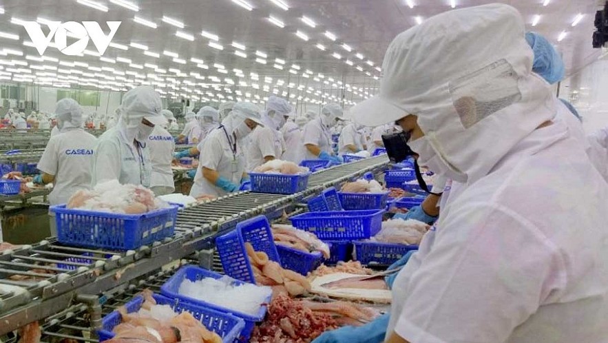 Seafood is one of Vietnam;s key hard currency earners as its products have brought in US$10 billion in export value this year.
