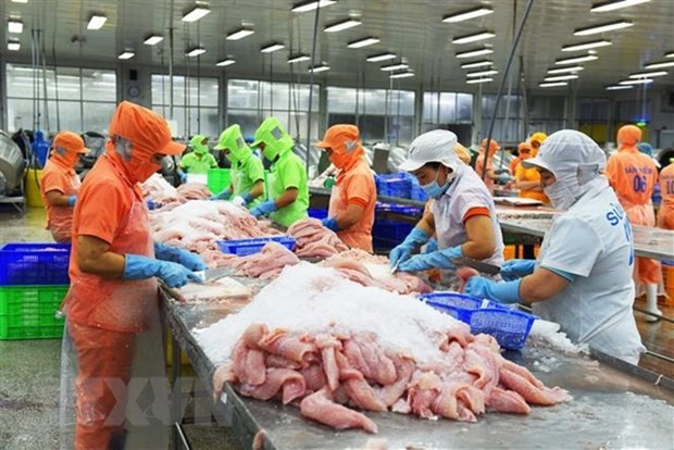 The US remains the largest market for Vietnamese seafood exports. Photo: VNA