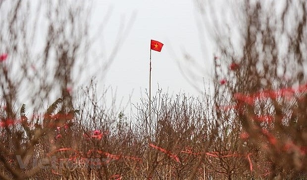 Cold weather to blanket northern Vietnam in Lunar New Year holidays. Photo: VNA