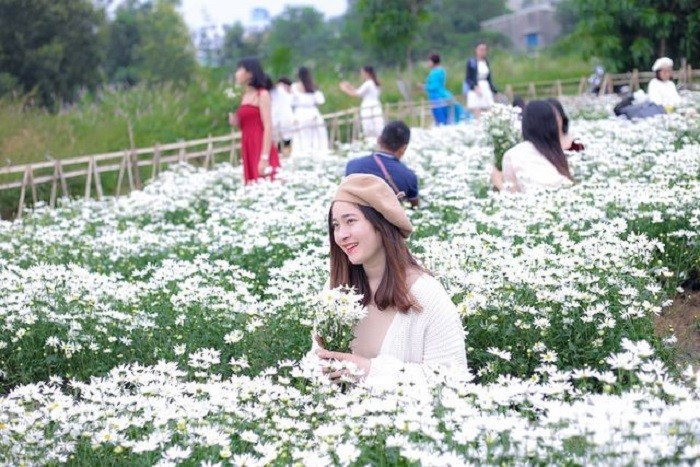 hai phong discover the best destinations for taking instagrammable tet photos
