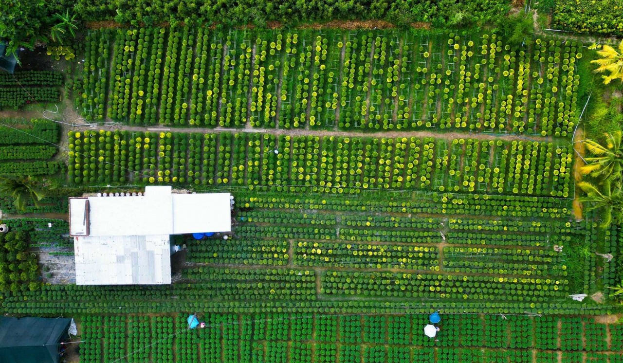 Seen from above, the green color of the Vietnamese Photographers Captures the Magic of the Mekong via Photography