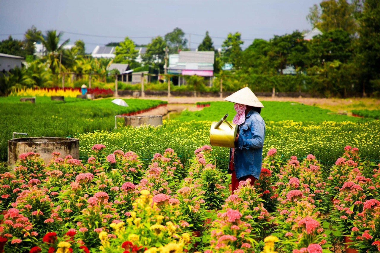 Photo: Nguyen Thanh Tuan Photo: Nguyen Thanh Tuan