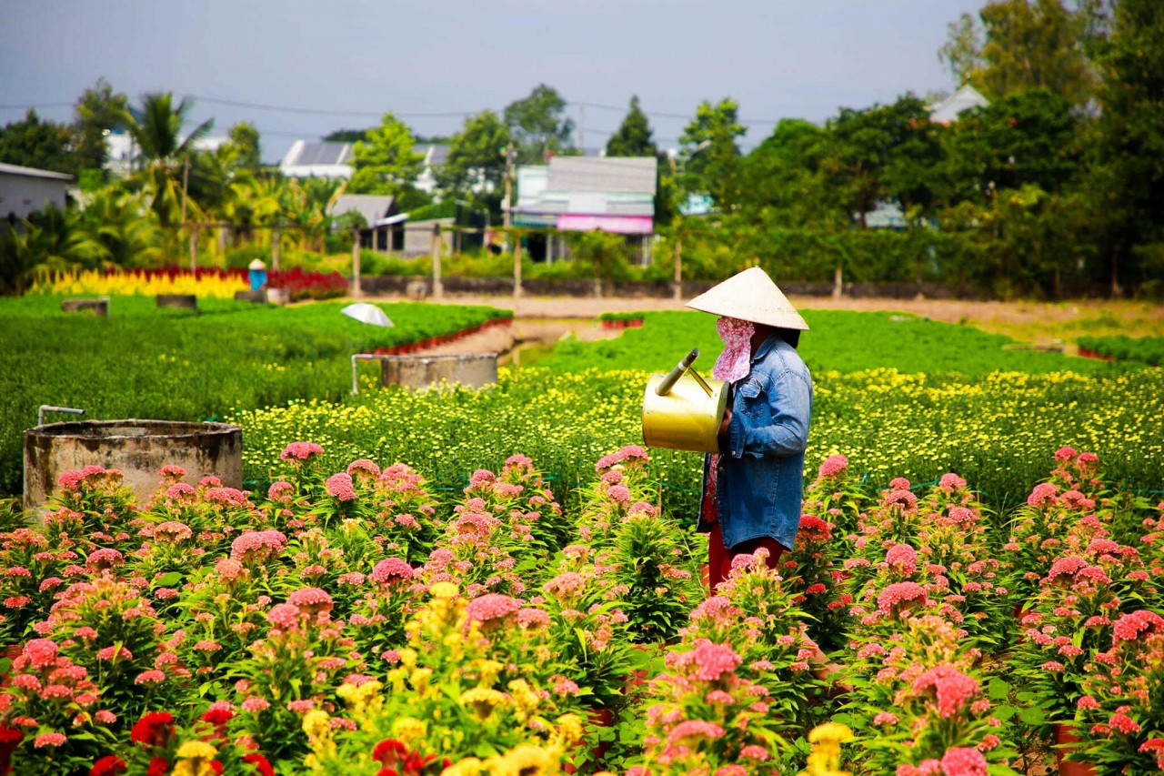 Photo: Nguyen Thanh Tuan 