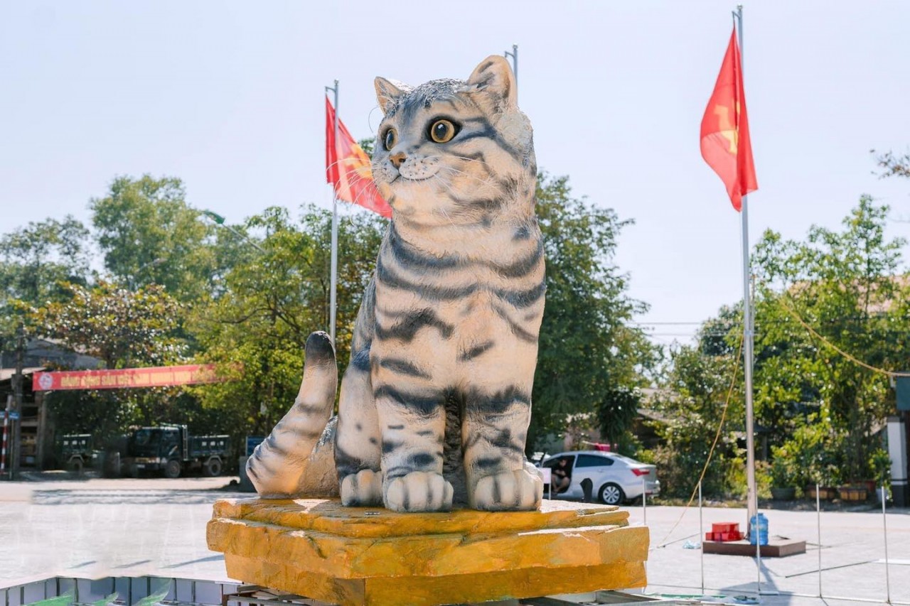 This cat in Quang Tri is voted by people on social media as the most beautiful compared to cat mascots in other localities across the country.
