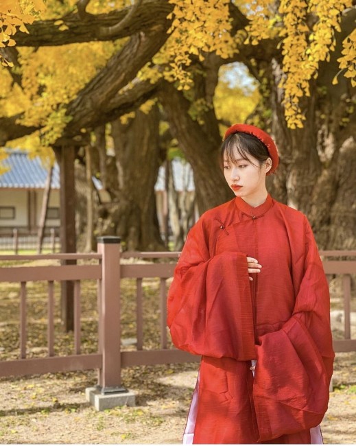 Vietnamese Girl Promotes Traditional Clothes in South Korea