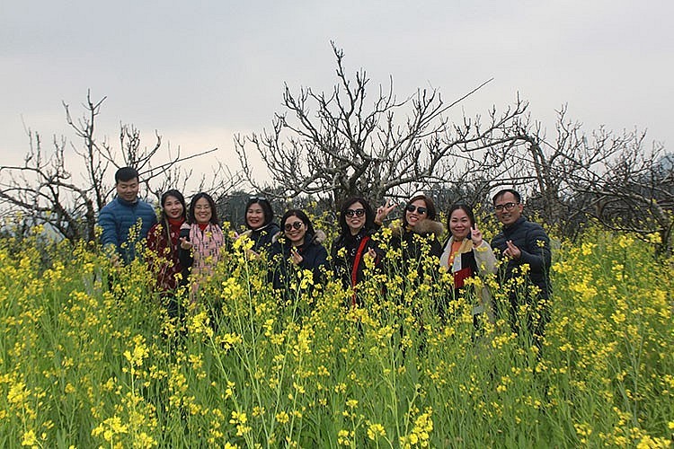 bac ha white plateau covered with spring flowers