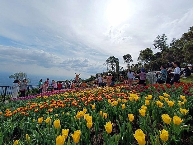 Visitors to Ba Den Mountain in Tay Ninh province (Photo: VNA)
